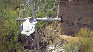 OLD MORENCI CLIFF HILLSIDE CEMETERY  AMANDA amp CHRIS ARIZONA ADVENTURES [upl. by Josefina]