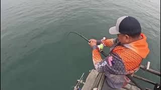 Fishing Thresher Shark at Huntington Beach Pier [upl. by Teodora290]