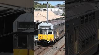 S Set at Petersham australiantrains sydneytrains railfanning [upl. by Truitt]