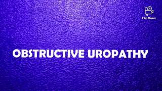 OBSTRUCTIVE UROPATHY [upl. by Hsirap131]