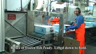 Freezing trawler fishing and processing fish fillets [upl. by Latsirc]