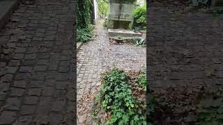 ASMR walk in Graveyard  Headstone Crow cry Cimetière de Montmartre Montmartre Cemetery S682✝️ [upl. by Firooc]