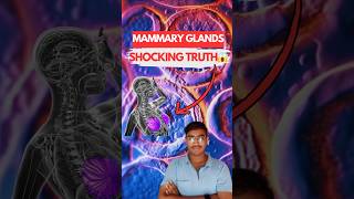 MAMMARY GLANDS The Shocking Truth Behind Their Function 😱  Biology NEET  Class 12th [upl. by Kciredorb856]