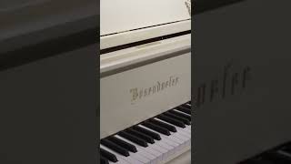 Bösendorfer 185VC Baroque Grand Piano at Classic Pianos Denver [upl. by Poul445]