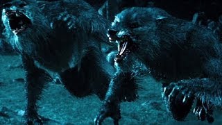 Top 10 Werewolf Movies REDUX [upl. by Findley350]