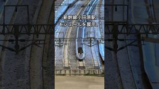 橋本 の公民館 での持ち寄り運転会に新幹線 小田原駅 モジュールレイアウト を展示 してきました。railwaymodelling bullettrains 鉄道模型 nゲージ [upl. by Lundberg]