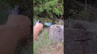 PLINKING WITH BLOWBACK AIRGUN Umarex WW2 Walther P38  45 mm BBs fun destruction airgun [upl. by Adnamas96]