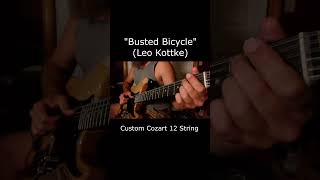 Busted Bicycle Leo Kottke [upl. by Idel796]