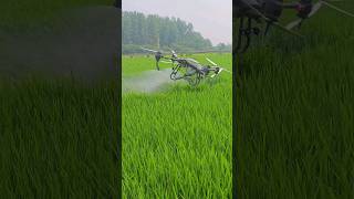 Farming Drone  drone dronevideo farmingdrone agriculture lifehacks lifestyle [upl. by Abey95]