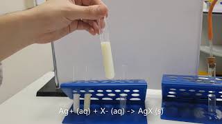 Negative Ion Test GCSE Chemistry [upl. by Genesa97]