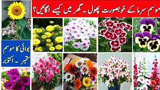 How To Grow Flowers Seedling From Seed At Home  Marigold Hollyhock Nasturtium  Easy Growing Method [upl. by Nies789]