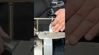 Tormek Knife Sharpening  14° asmr [upl. by Lahcim450]