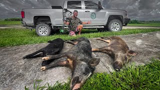 Public Land Hog Hunt in the Middle of Hurricane Debbie Catch Clean Cook [upl. by Scottie999]