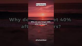 Learning Hack Stop Forgetting What You Study 📚 psychologyfacts [upl. by Hillinck]