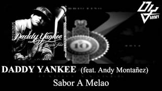 Daddy Yankee Feat Andy Montañez  Sabor a Melao  Barrio Fino [upl. by Karyn]