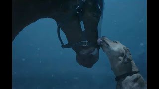 Super Bowl LVIII Sneak Peak at the 2024 Budweiser ad Horses Are BACK [upl. by Earle]