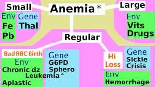 Easy Anemia Classification Introduction for Medical Pathology Students [upl. by Yerak]