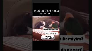 Ara tatil nasıl geçiyor 🤣🤣aratatil tatil comedy shorts annelik [upl. by Tarah]