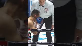 knockdown Donaire vs Inoue [upl. by Drofkcor]