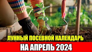 Лунный Посевной Календарь на АПРЕЛЬ 2024  Сажаем только в БЛАГОПРИЯТНЫЕ ДНИ [upl. by Eicyak]