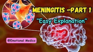 Meningitis  Part 1  CNS pathology  Medium Robbins emotionalmedico [upl. by Enilesoj]