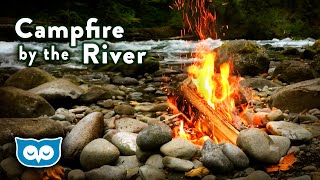 Relaxing Campfire River Ambience crackling fire river and forest sounds [upl. by Stoddart950]