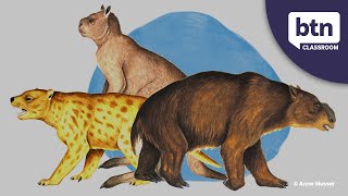 Extinction of Australias Megafauna  Behind the News [upl. by Ecnarepmet]