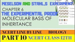 MESELSON AND STAHL EXPERIMENT Malayalam NEET PREPARATION [upl. by Oralee]