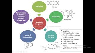 Biodegradation of Xenobiotics [upl. by Yeoj]