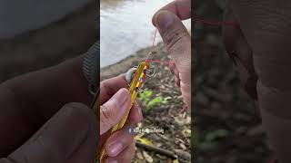 The Secret Of Fisherman Fishing Knot Skills How to Tie Fishing Knot Using Tackle fishing [upl. by Nadya608]