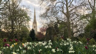 St Gabriels Pimlico Choral Evensong and Benediction Candlemas 28th January 2024 [upl. by Plafker984]