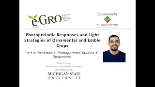 Ornamental Photoperiodic Strategies [upl. by Ednalrym355]