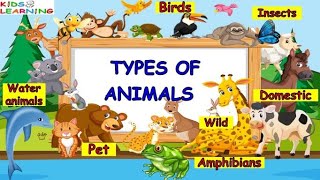 Types of animals IWild Domestic Pet Birds Insects Water animals I Types of Animals for kids [upl. by Elbring673]