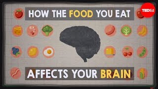 How the food you eat affects your brain  Mia Nacamulli [upl. by Kohler622]