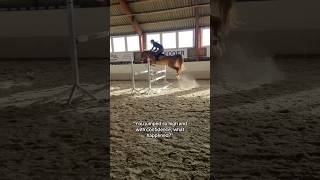 Keep going 🔥❤️‍🔥 equestrian horse horses pony pferde cheval hest trending funny hest [upl. by Gord537]