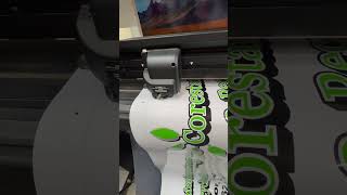 Vinyl plotter at half speed music vinylwrap sticker workhard [upl. by Petta]