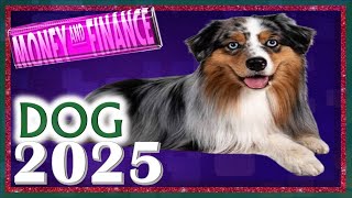 Dog Horoscope 2025  Money amp Finance  Born 2018 2006 1994 1982 1970 1958 1946 1934 [upl. by Bega904]