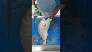 Emperor Lethrinus nebulosus വിള മീൻ  shiery fish cleanshorts fishmonger music cuttingskills [upl. by Becki182]