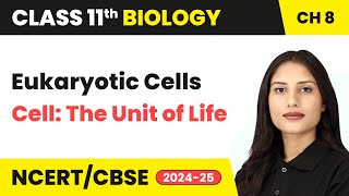 Eukaryotic Cells  Cell The Unit of Life  Class 11 Biology Chapter 8  CBSE 202425 [upl. by Bertha481]