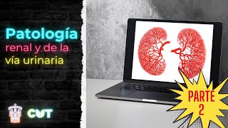 Emisión en directo  Patología renal y de la via urinaria  Parte 2  Curso 2023B [upl. by Ylrbmik746]