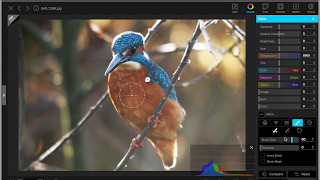 Editing a Kingfisher photo in Photoscape X Free [upl. by Dawn]