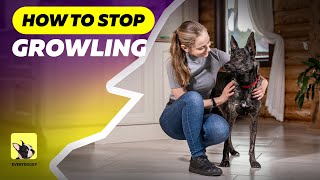 How to Stop your Dog from Growling at Family Members  EveryDoggy [upl. by Silvana814]