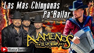 POPURRI ALAMEÑOS DE LA SIERRA  LAS MAS CHINGONAS PA BAILAR MIX 2025 [upl. by Adirem]