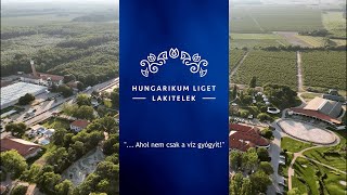 Hungarikum Liget 2024 Lakitelek [upl. by Gretna]