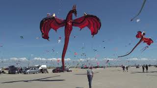 1000s of flying kites on the beach Fanø Denmark 🇩🇰 [upl. by Spohr]