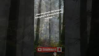 EL BOSQUE DE LOS SUICIDAS japan bosques [upl. by Leda]