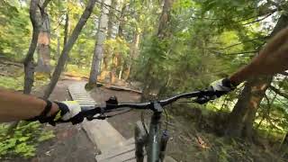 Riding Fernie Alpine Resorts GNARLIEST Blue Tech Trail On My Hardtail  Ewok amp Monorail [upl. by Auehsoj920]