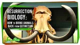 Resurrection Biology How to Bring Animals Back From Extinction [upl. by Swainson]