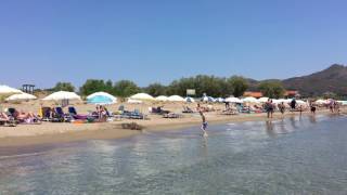 Surprising Moment On Kalamaki Beach Zakynthos [upl. by Janaya]