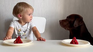 The FUNNIEST Talking Baby and Dog Moment Caught on Camera [upl. by Melinda]